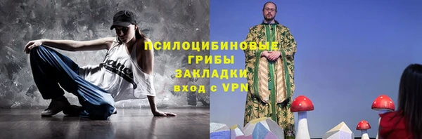 мяу мяу мука Белокуриха