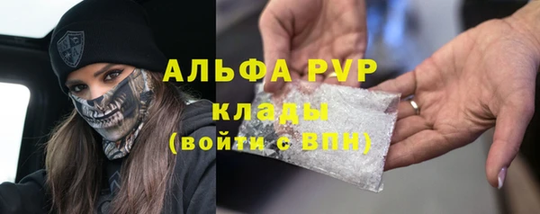 мяу мяу мука Белокуриха