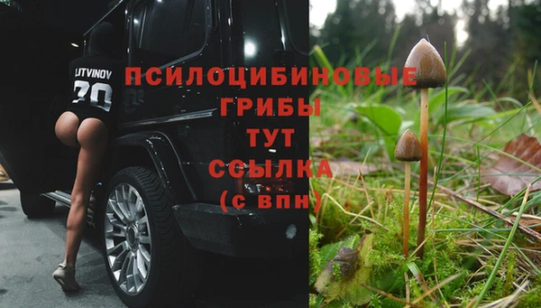 гидра Белоозёрский