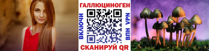 Купить  Губаха  Псилоцибиновые грибы Psilocybine cubensis 